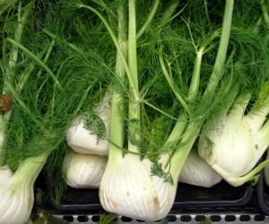 Remedies for colic - fennel 