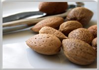 Read about nut and seed allergy